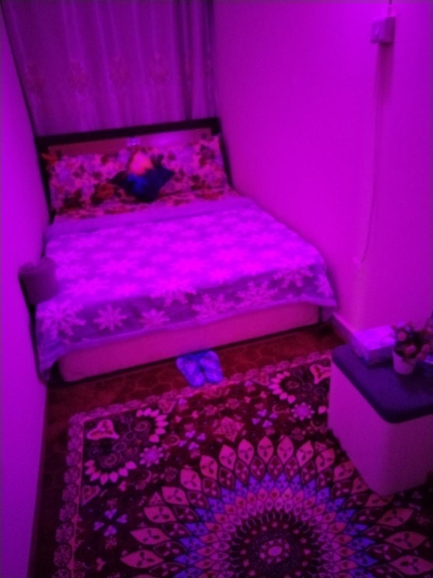 My 2 Hospedagem domiciliar